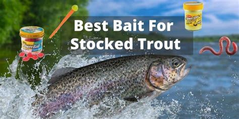 lotro fishing|best trout bait for stocked trout.